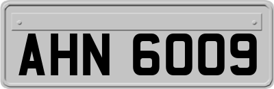 AHN6009