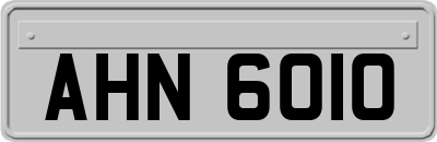 AHN6010