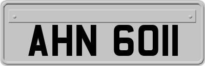 AHN6011