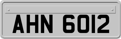 AHN6012