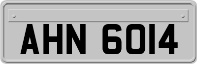 AHN6014