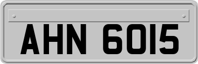 AHN6015
