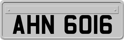 AHN6016