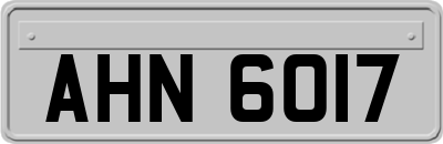 AHN6017