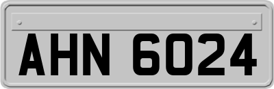AHN6024