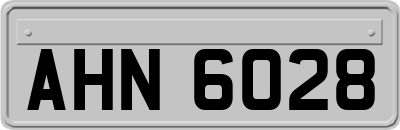 AHN6028