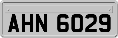 AHN6029