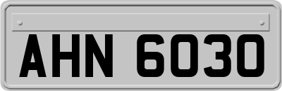 AHN6030