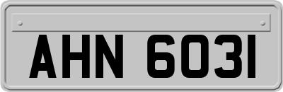 AHN6031