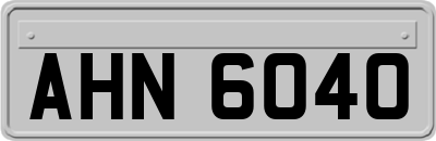 AHN6040