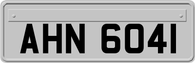 AHN6041