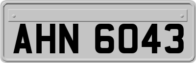AHN6043