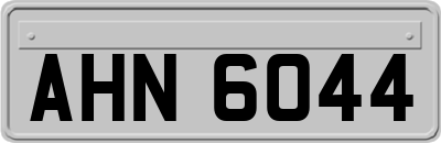 AHN6044