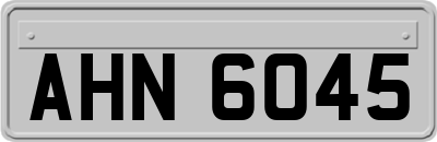 AHN6045