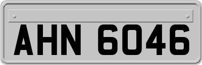AHN6046