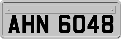 AHN6048
