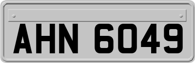AHN6049