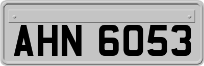 AHN6053