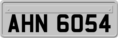 AHN6054