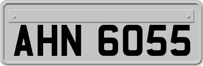 AHN6055