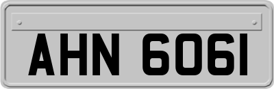 AHN6061