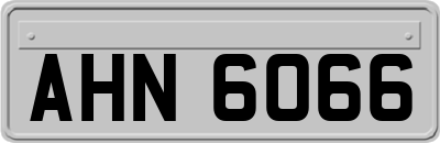 AHN6066