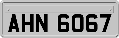 AHN6067