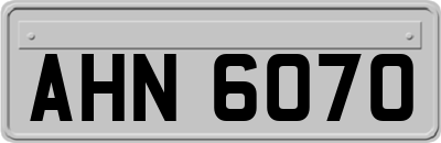 AHN6070