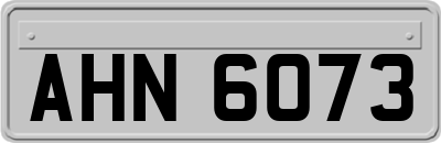 AHN6073