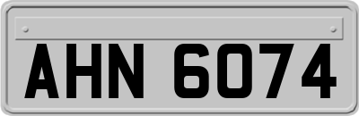 AHN6074