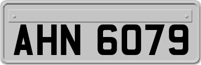 AHN6079
