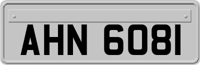 AHN6081