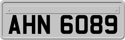 AHN6089