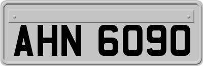 AHN6090