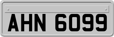AHN6099
