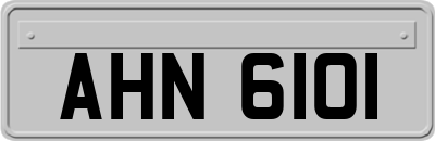 AHN6101
