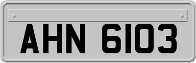 AHN6103