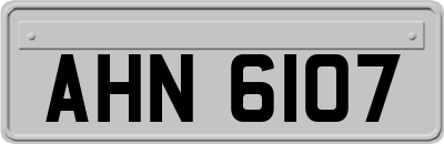 AHN6107