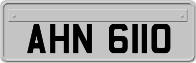 AHN6110