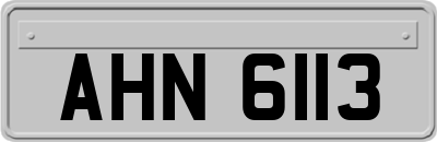 AHN6113