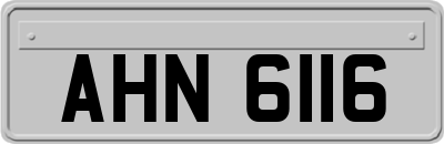 AHN6116
