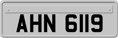AHN6119