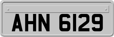 AHN6129