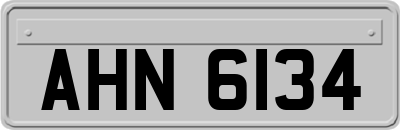 AHN6134