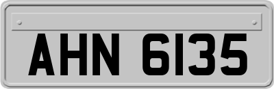 AHN6135