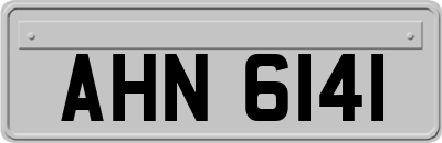 AHN6141