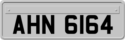 AHN6164