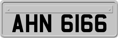 AHN6166