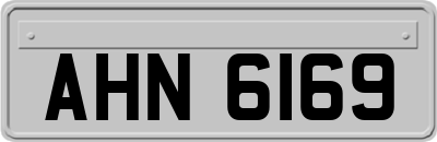 AHN6169
