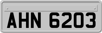 AHN6203